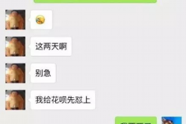 邵阳县贷款清欠服务